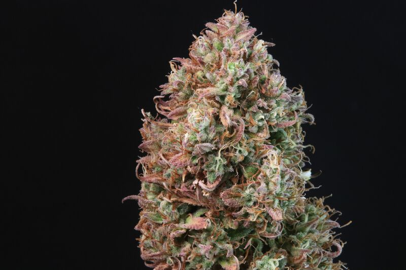 Sour Jealousy Auto, Фасовка: 3, изображение 20